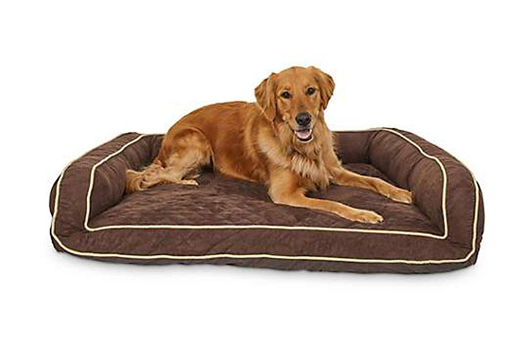 Dogs with arthritis