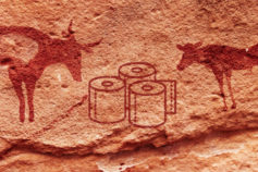 What we used before toilet paper existed