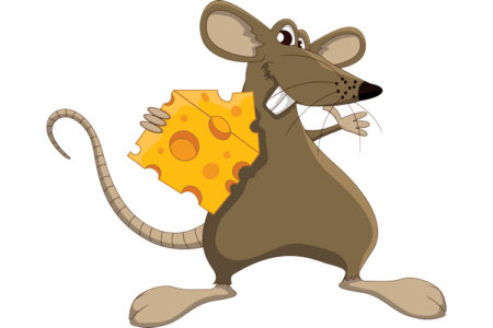 My friend the mouse