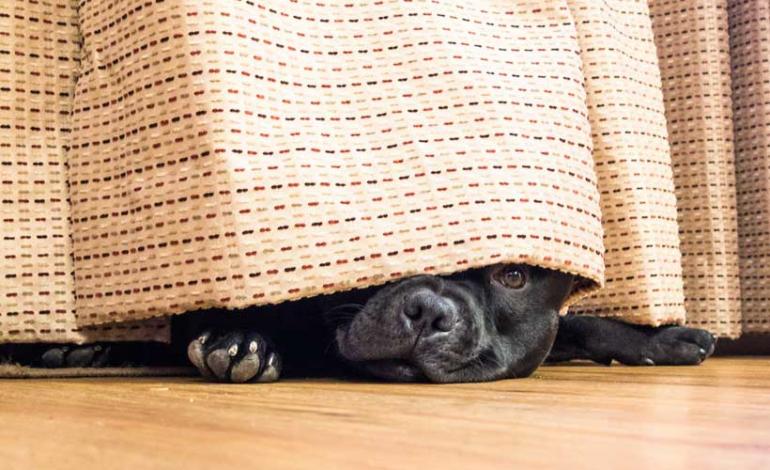 Hiding