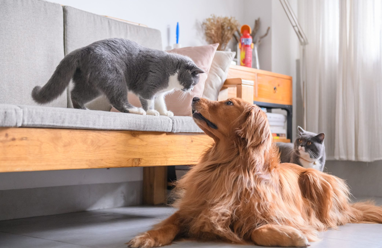 No sibling rivalry here!