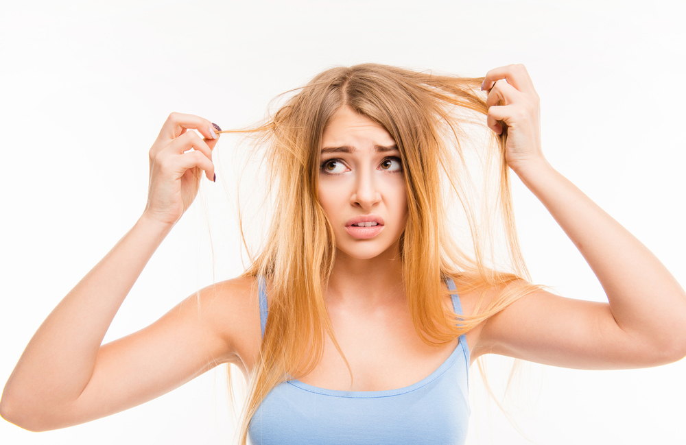 Follicle facts