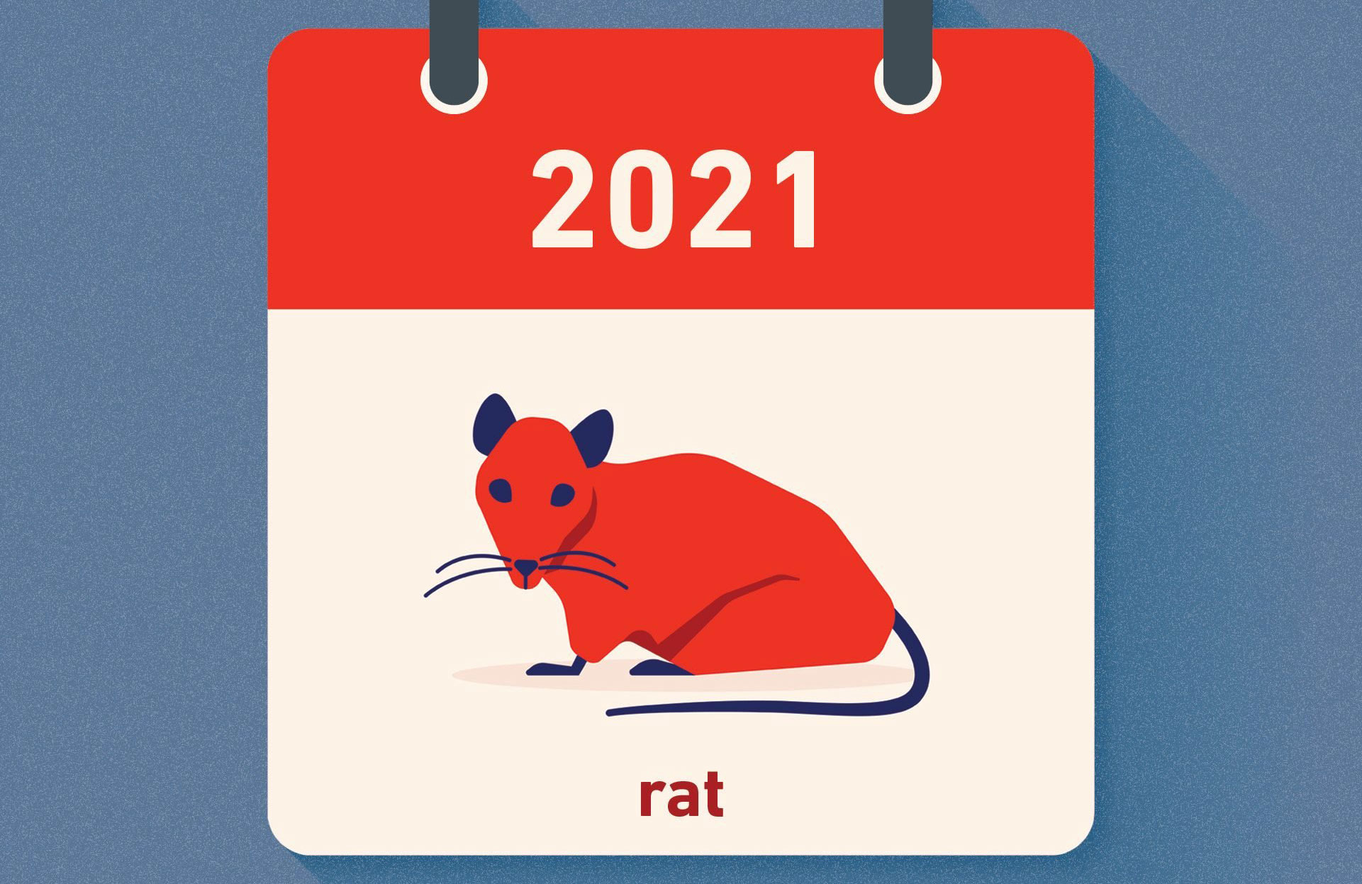 Rat