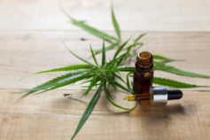 What is cannabis (CBD) oil? Here’s what you need to know