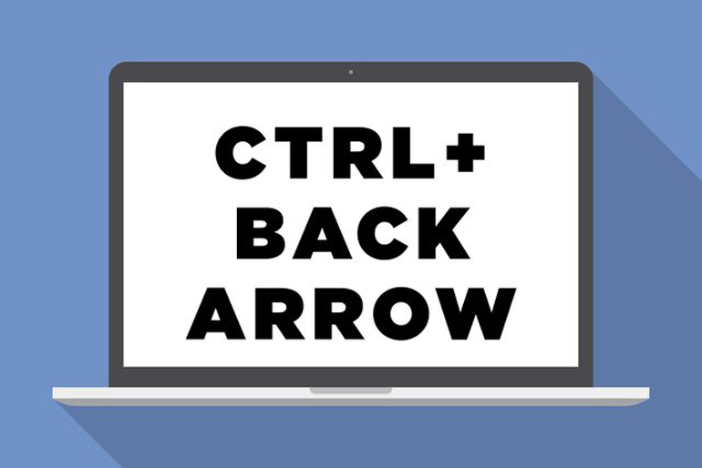 CTRL + back arrow: Go back one page in your browsing history