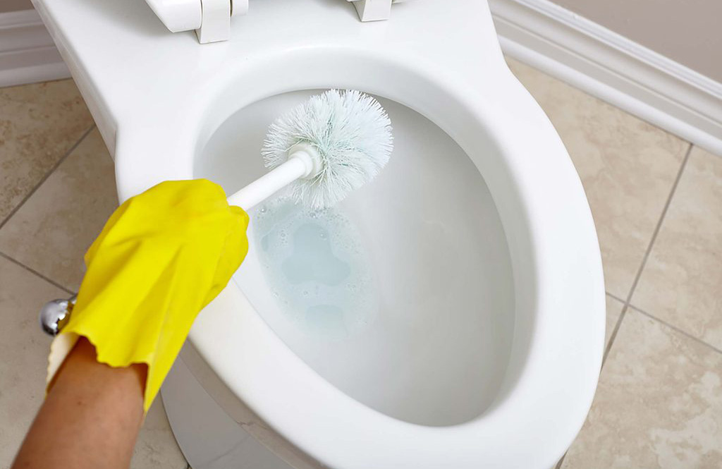 Clean the toilet daily