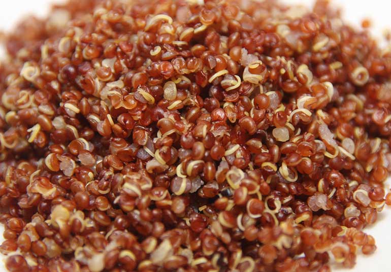 Quinoa (1 cup of quinoa = 8 grams of protein)