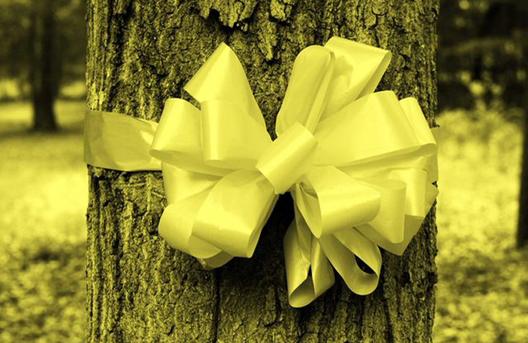 A yellow ribbon tied to a tree