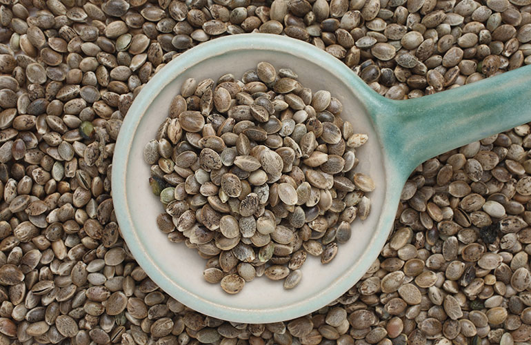 Hemp seeds (3 tablespoons = 9 grams of protein)