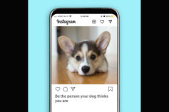 45 pawfect Instagram captions for your dog photos