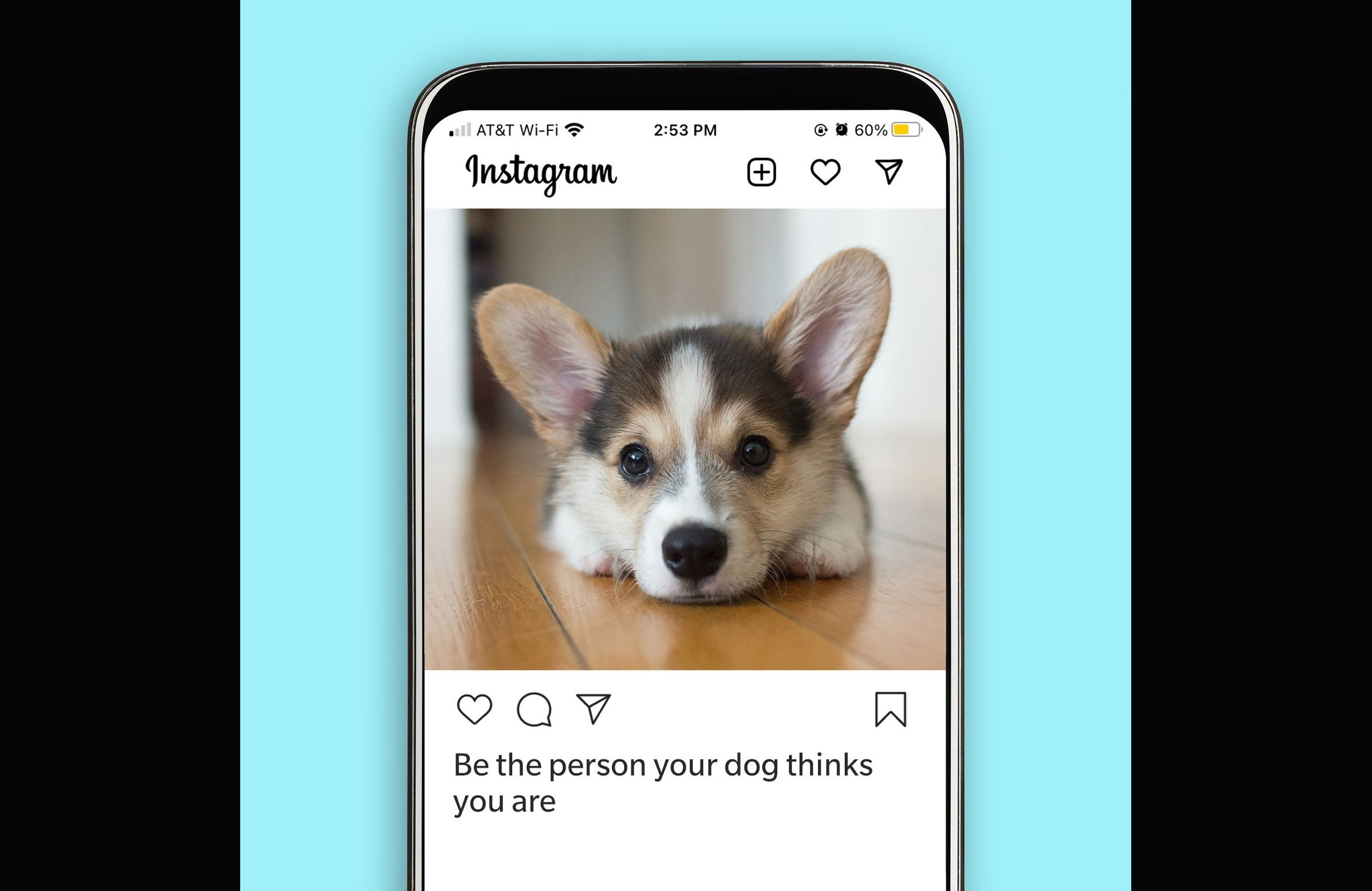 Thinking of dog Instagram captions can be ruff