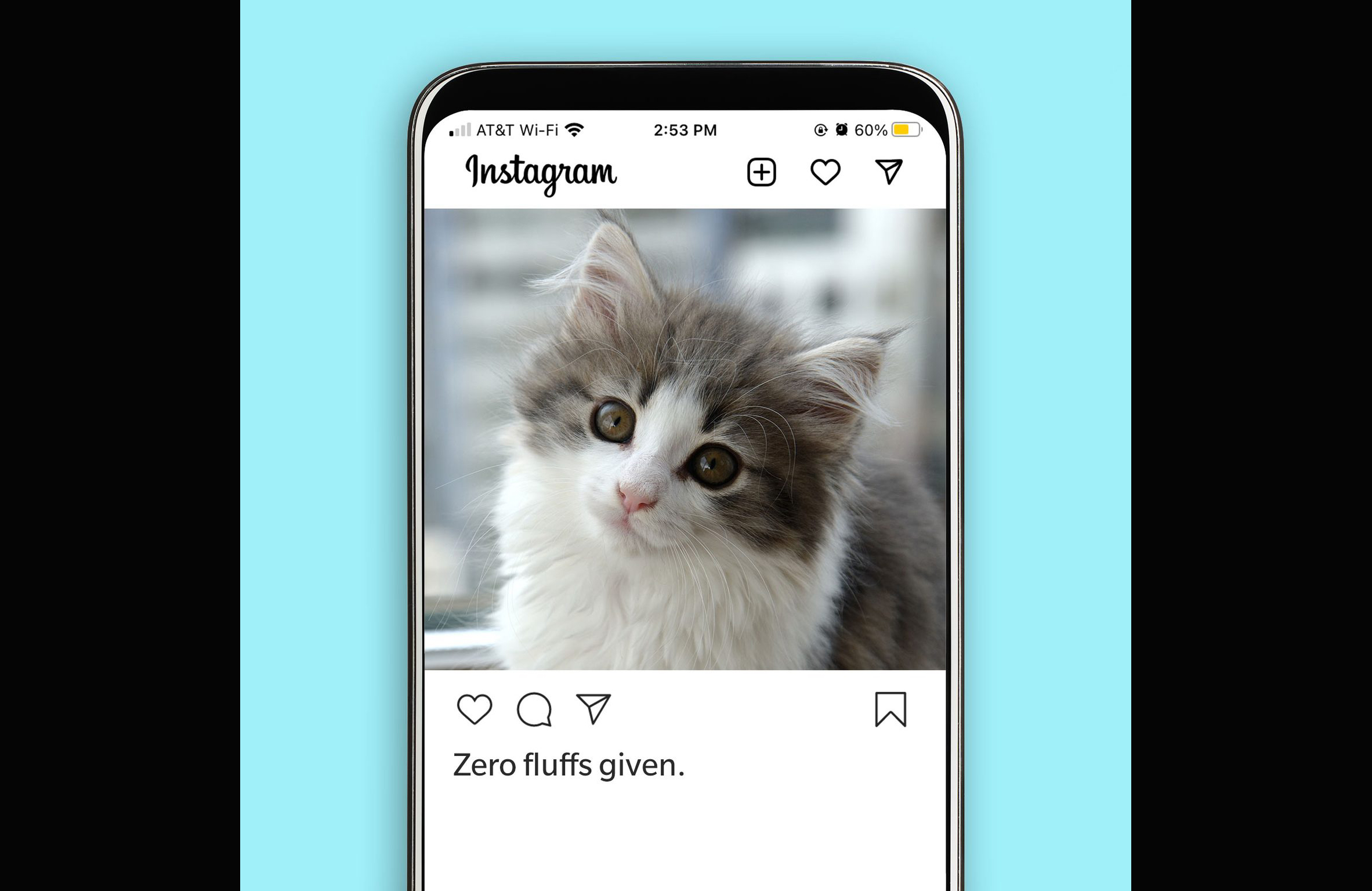 It’s meowty hard to find the right cat Instagram captions