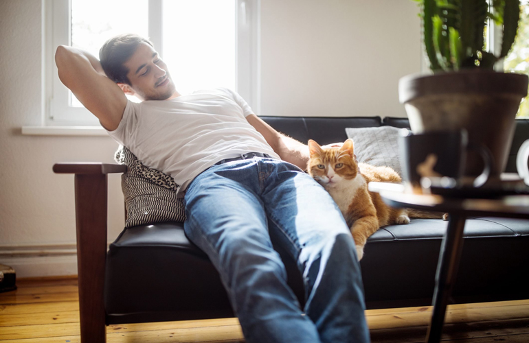 Spend time with pets