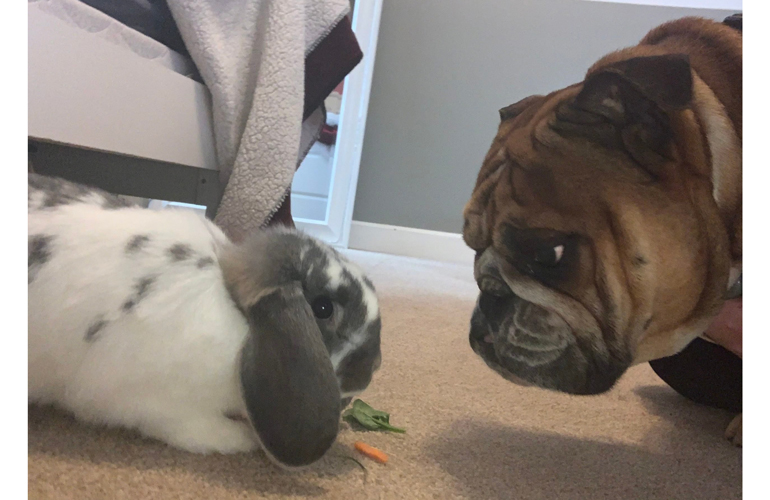 Lilli and Henry