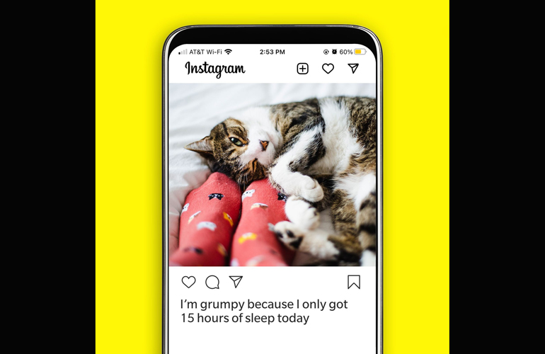 Cat Instagram captions from your cat’s point of view