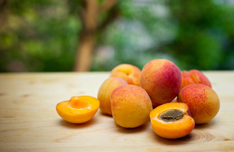 Apricot