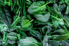 12 foods that boost collagen for skin that looks years younger