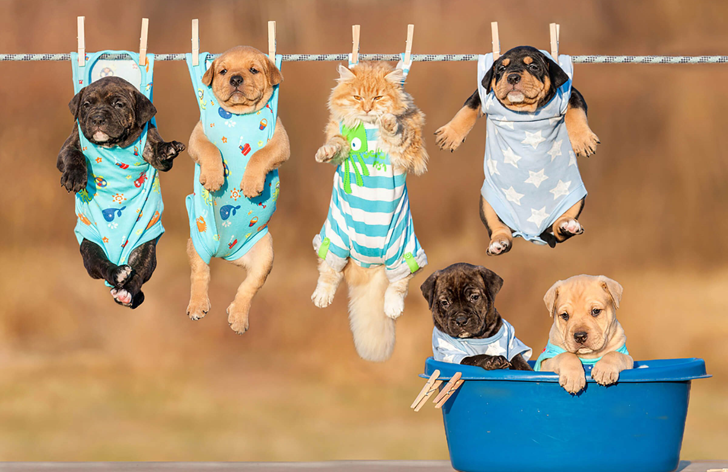 This will make you learn to love laundry