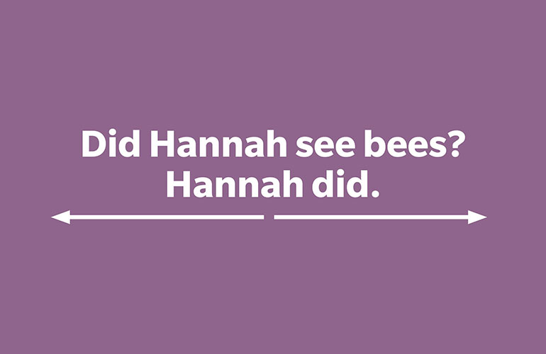Did Hannah see bees? Hannah did.