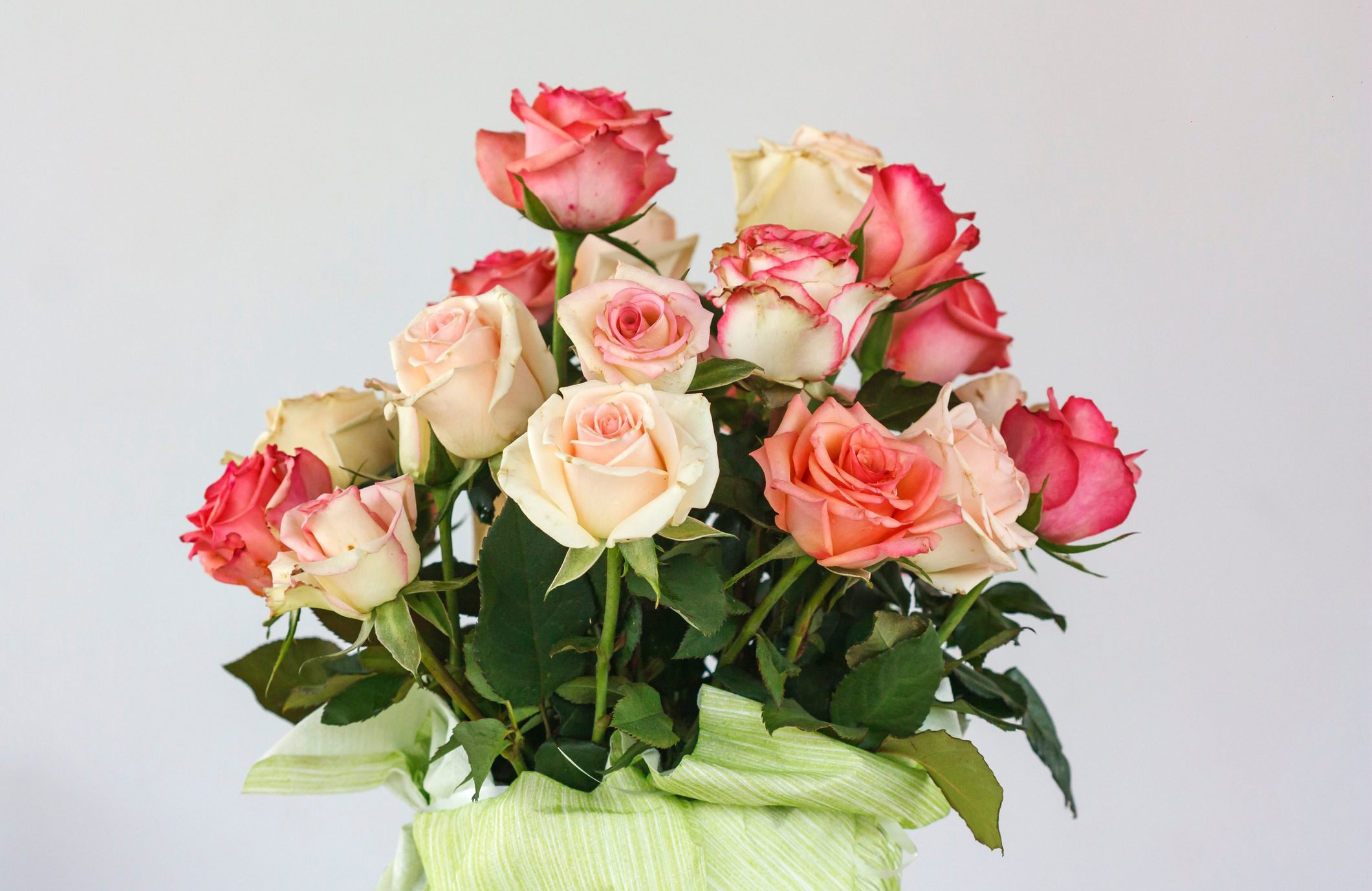Cut flowers