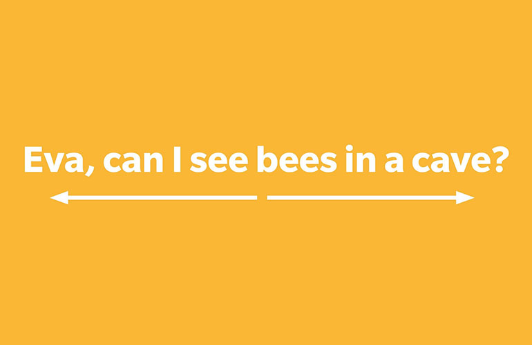 Eva, can I see bees in a cave?
