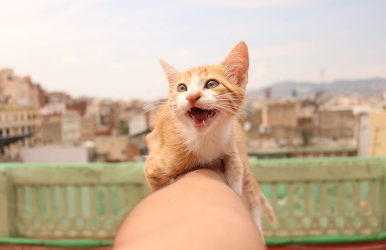 I can show you the world