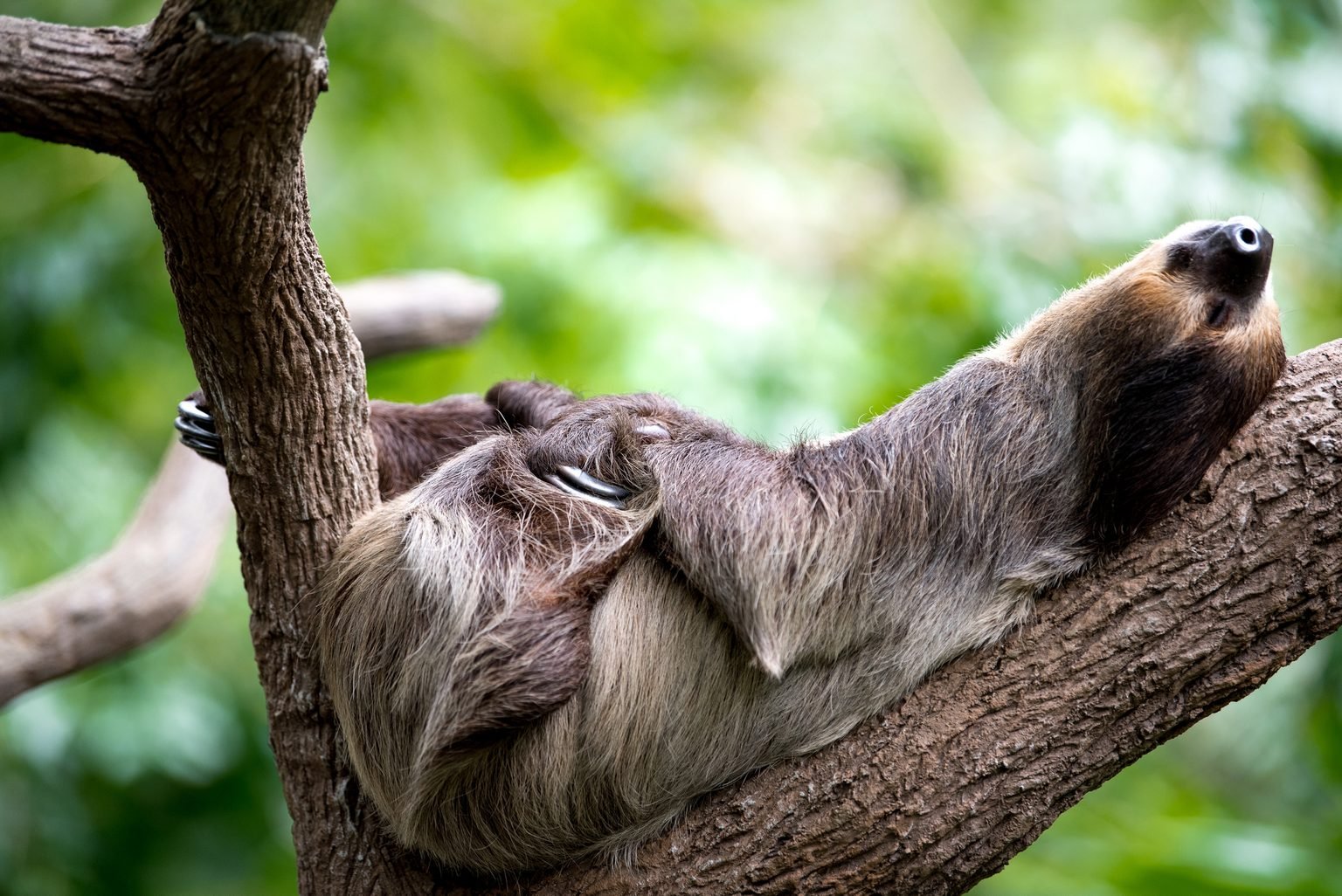 Nap time