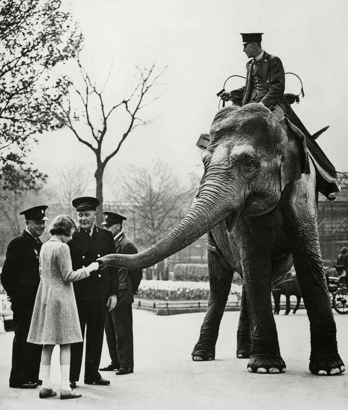 Elizabeth as a lover of animals
