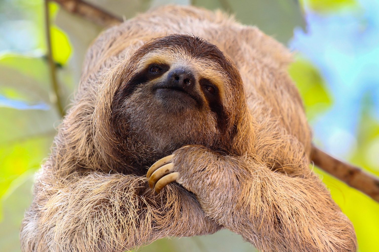 “I’m ready for my close-up”
