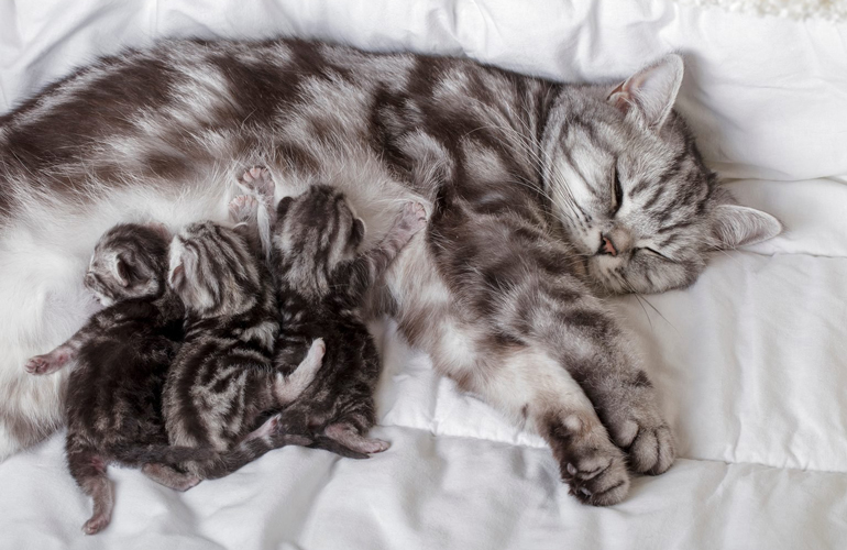 Family time is pretty claw-some