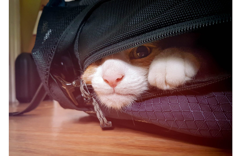 Hey, you found me!