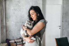 8 hypoallergenic cats for people with allergies
