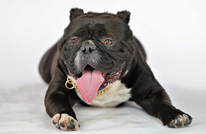 Meatloaf