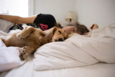 Should your dog be sleeping in your bed?
