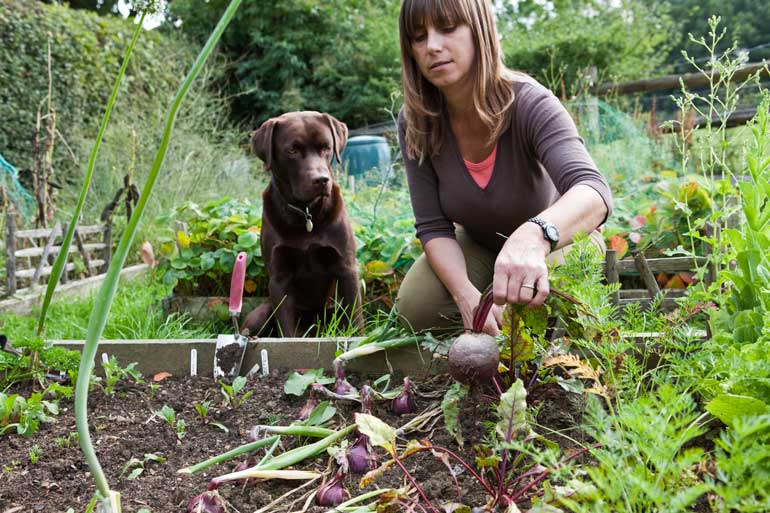 Gardening has benefits you can’t put a price on