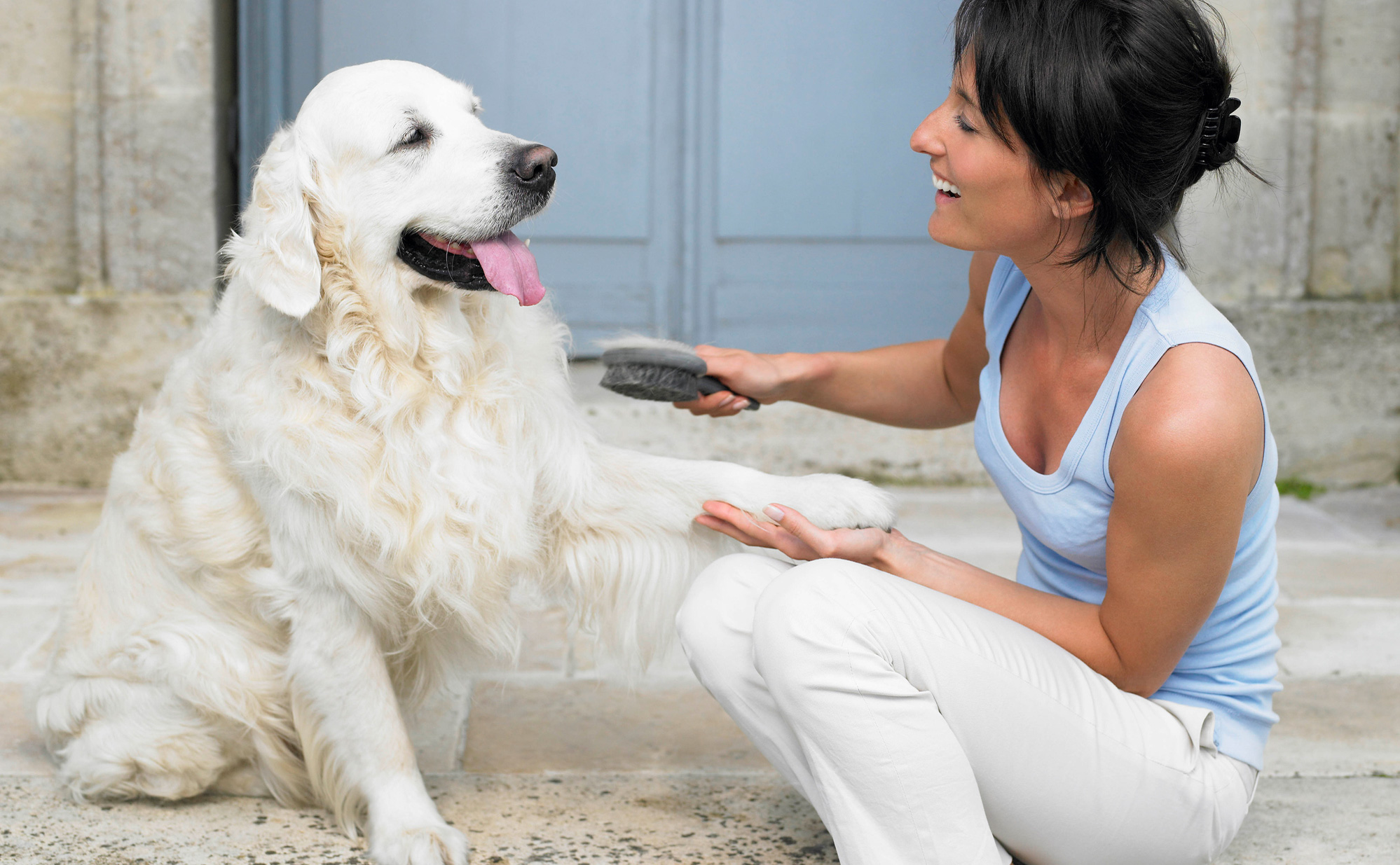 Doing your dog’s do
