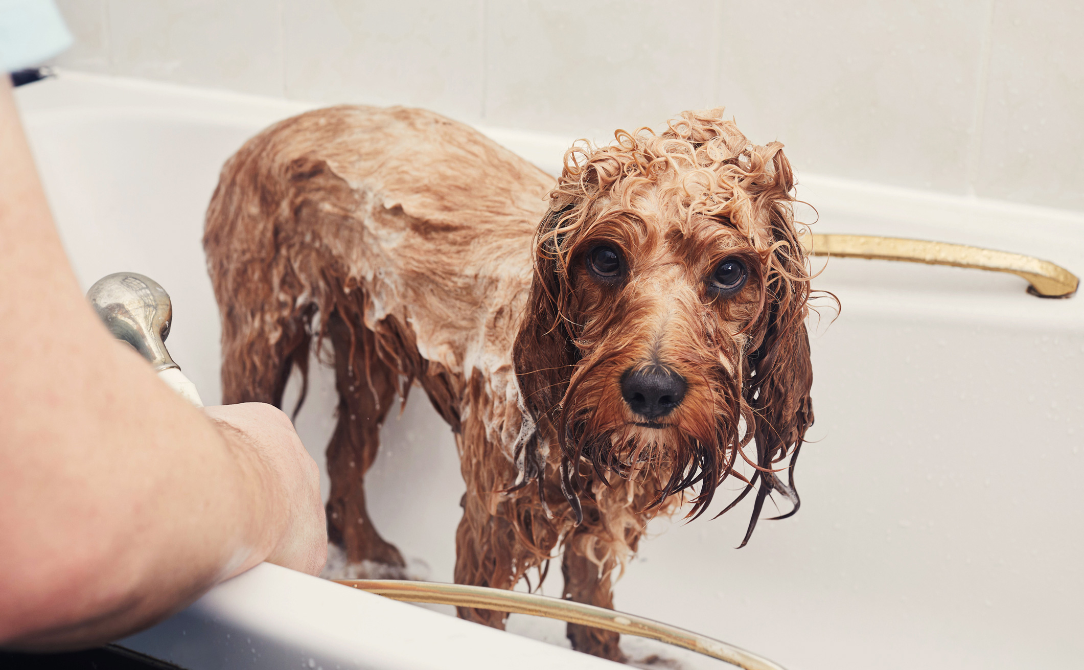 The dreaded bath