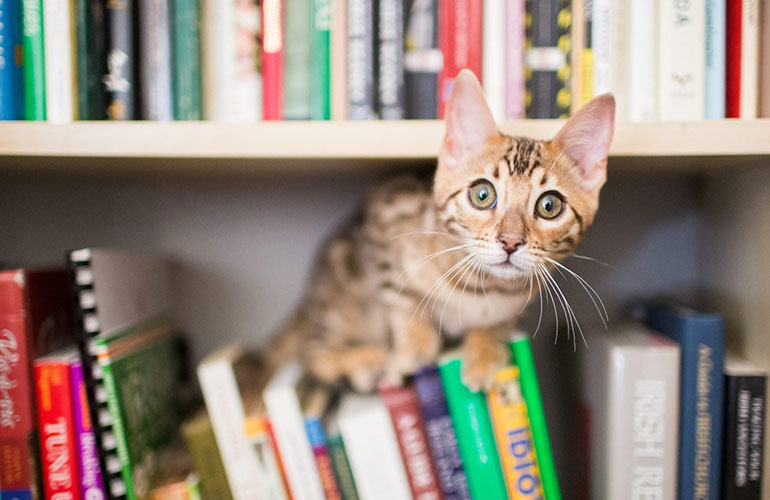 Skip it: Putting books on the shelf