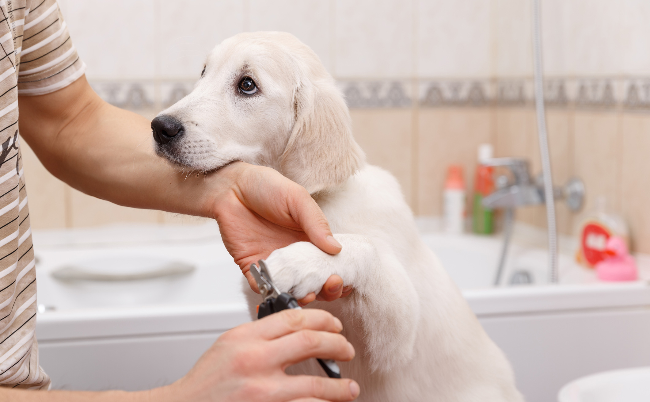 The nail-clipping debate