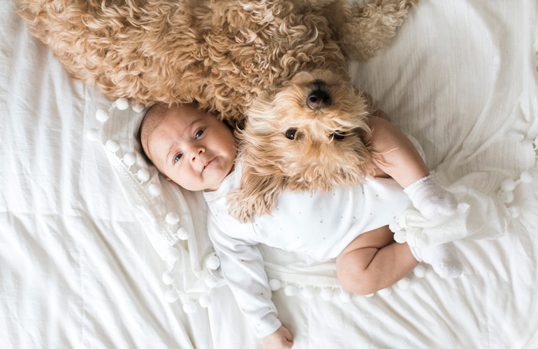 Your dog’s behaviour