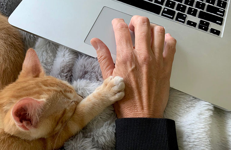 An executive assistant is purr-ty helpful