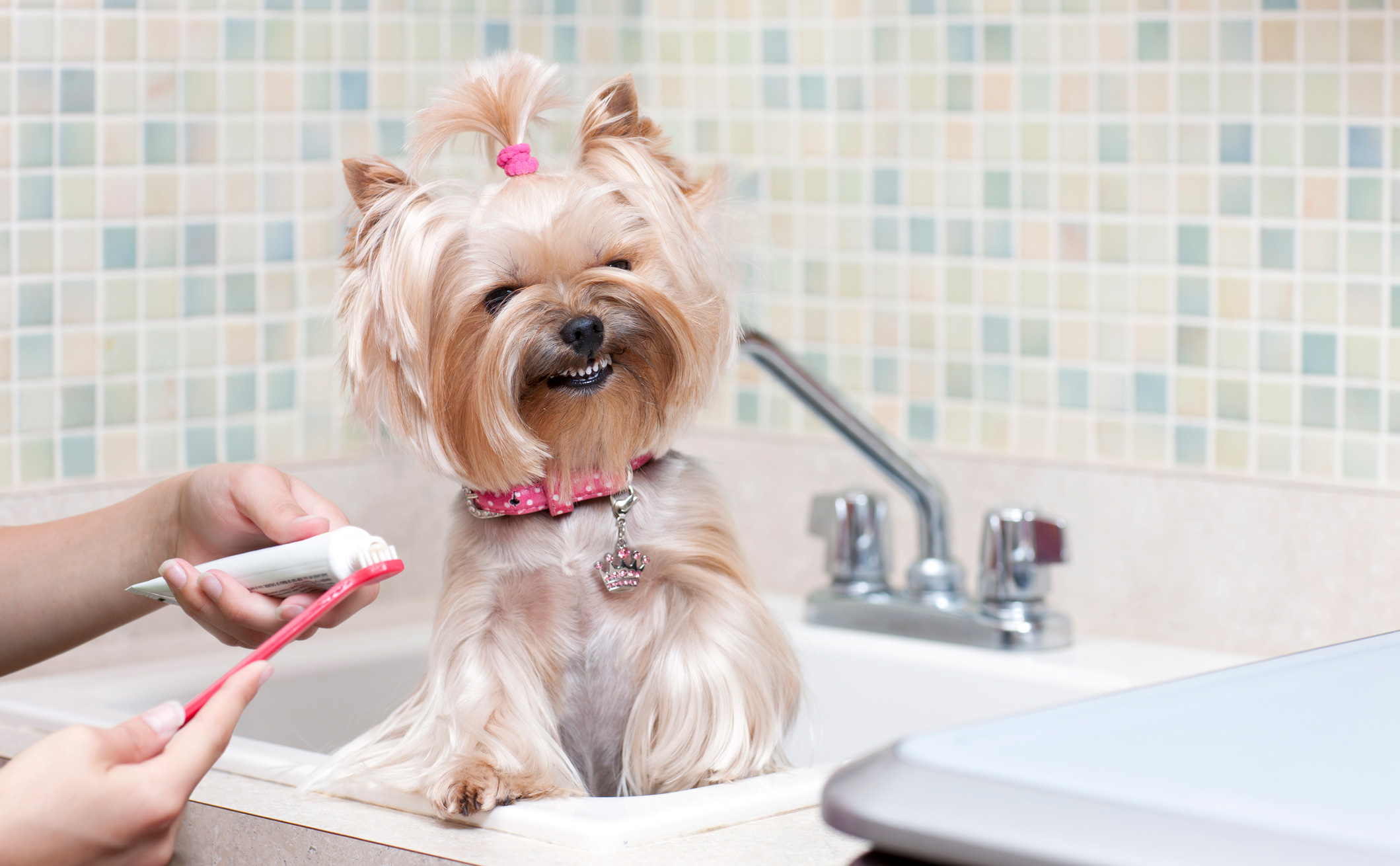 Brushing the teeth