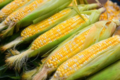 12 fresh foods you should never store together