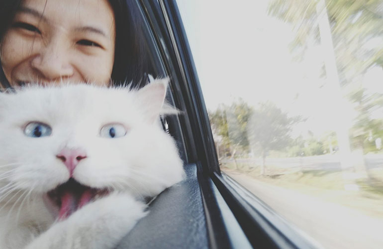 Weeeee!