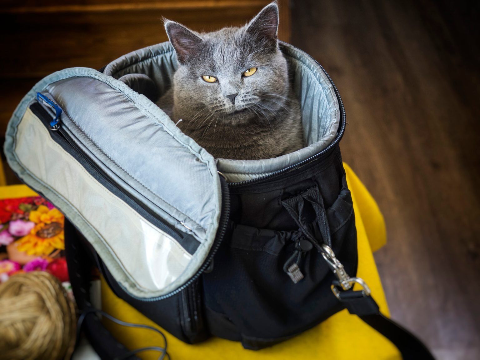Going somewhere?