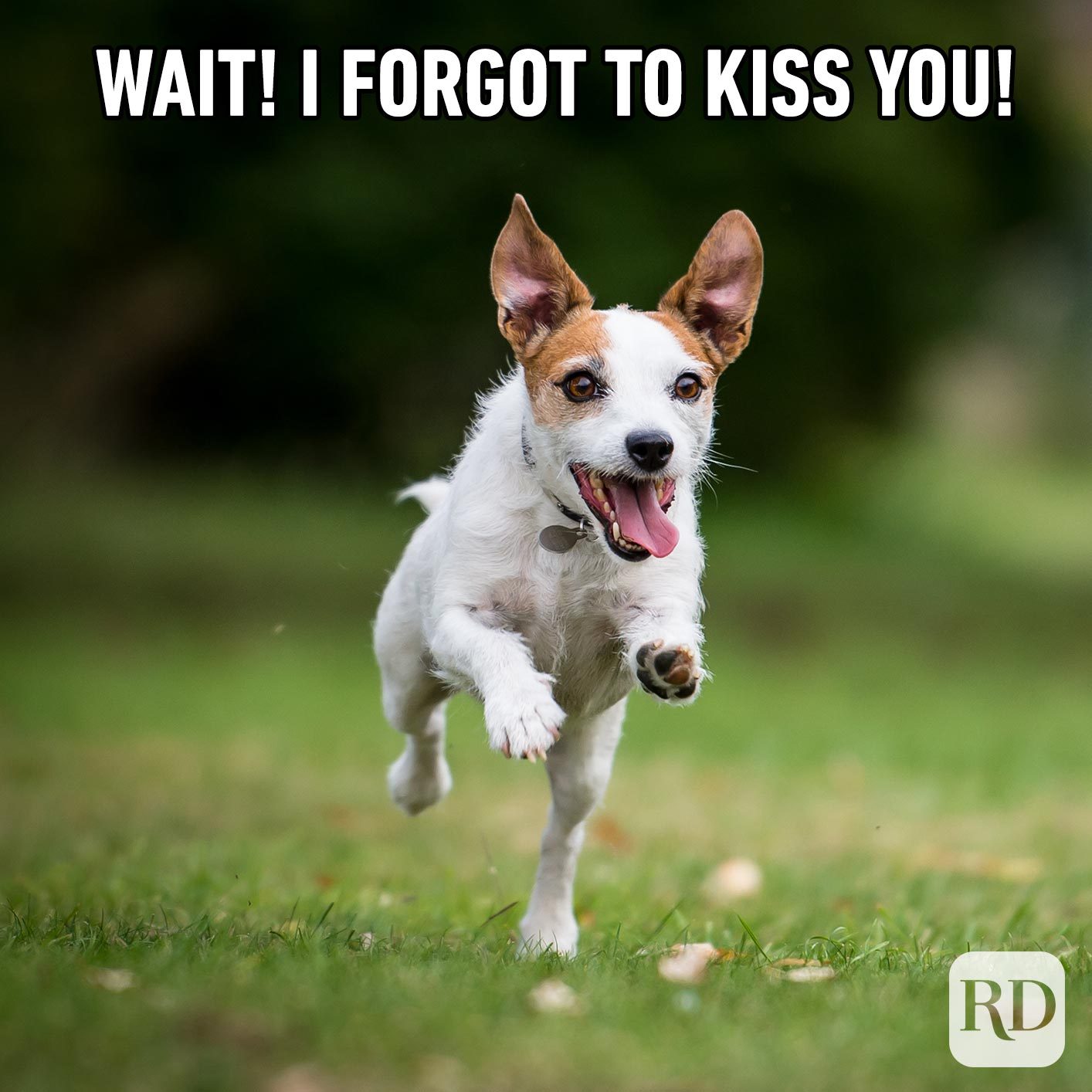 When your partner leaves for work