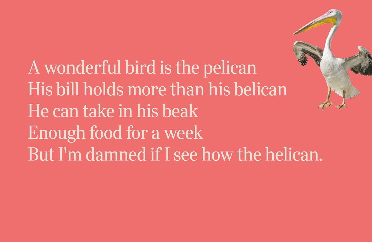 Ornithology 101