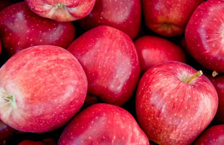 Passing up fruit and veggies with spots