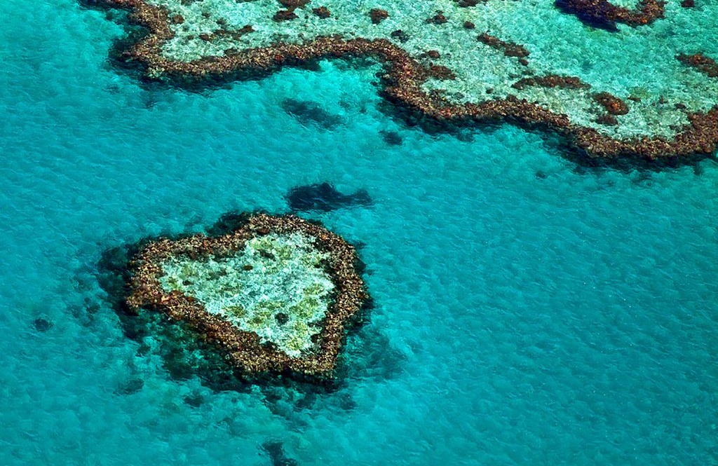 Heart Reef – Queensland, Australia
