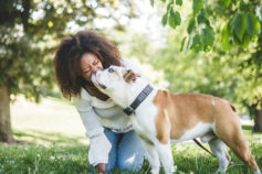 17 calm dog breeds with easygoing personalities